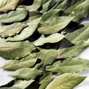 daphnis-and-chle-bay-leaves-gal-1