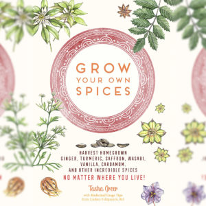 grow-your-own-spices-featured